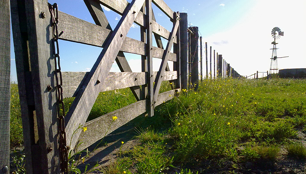 Afirman que el mercado inmobiliario rural pasa su mejor momento en una década